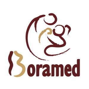 boramed logo