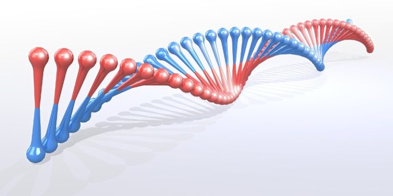 Badanie DNA - Poznaj Zalety I Szerokie Możliwości Wykorzystania