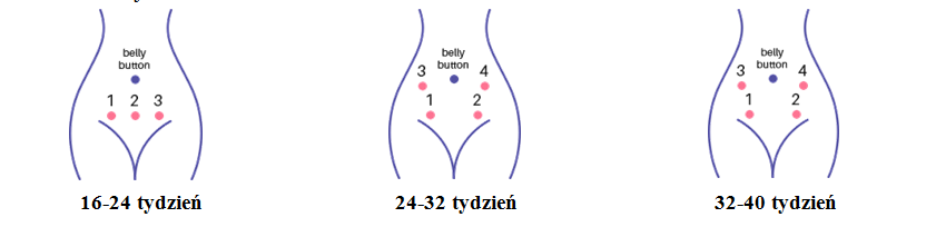 domowe ktg - sposób przesuwania sondy po brzuchu, aby badanie było skuteczne