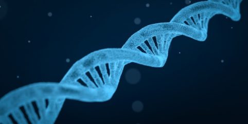 Aberracje chromosomowe liczbowe