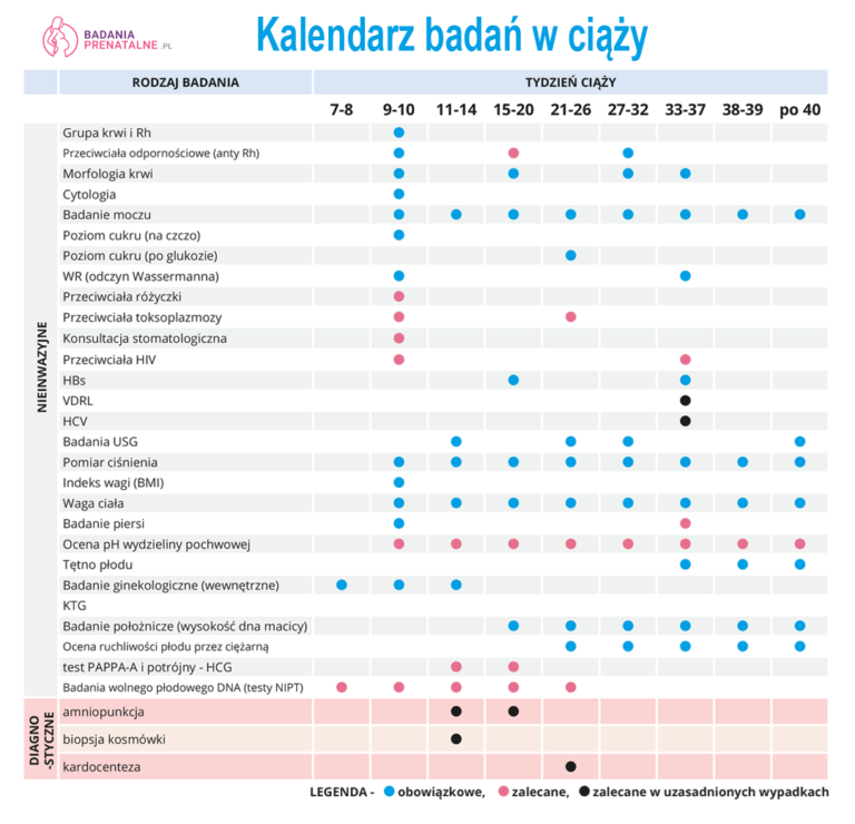 𝗕𝗮𝗱𝗮𝗻𝗶𝗮 W Ciąży Kalendarz Badń Jakie Badania W Ciąży Zrobić I Kiedy 3507