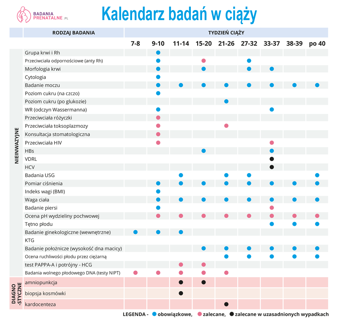 kalendarz badań w ciąży