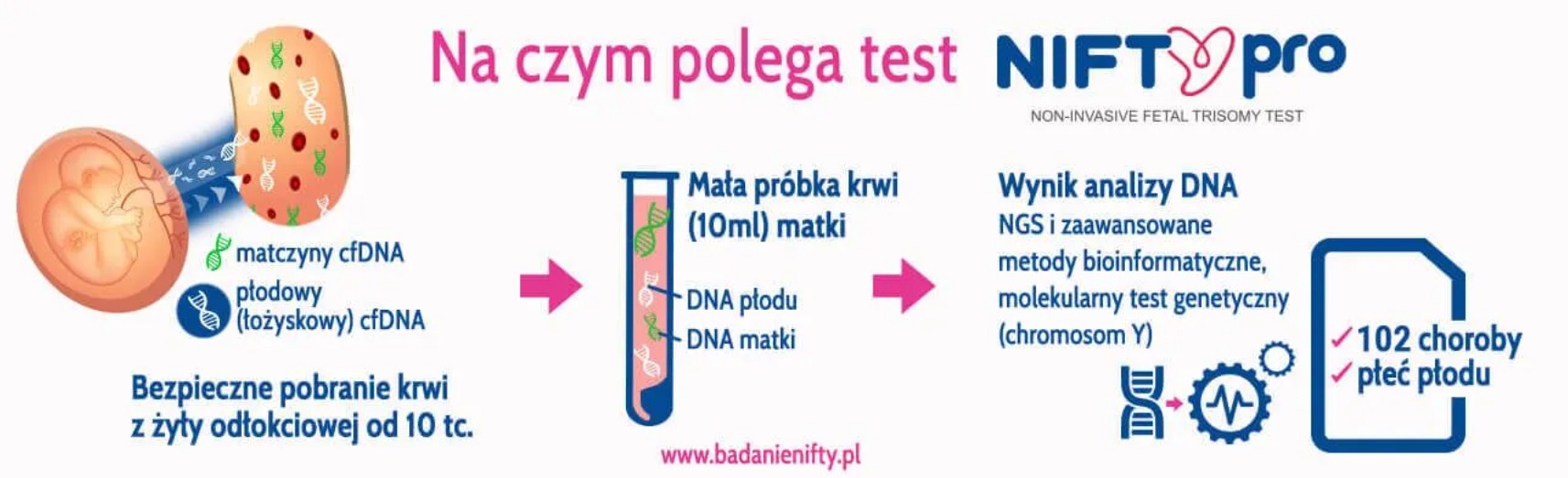 na czym polega nifty pro na czym polega nifty pro