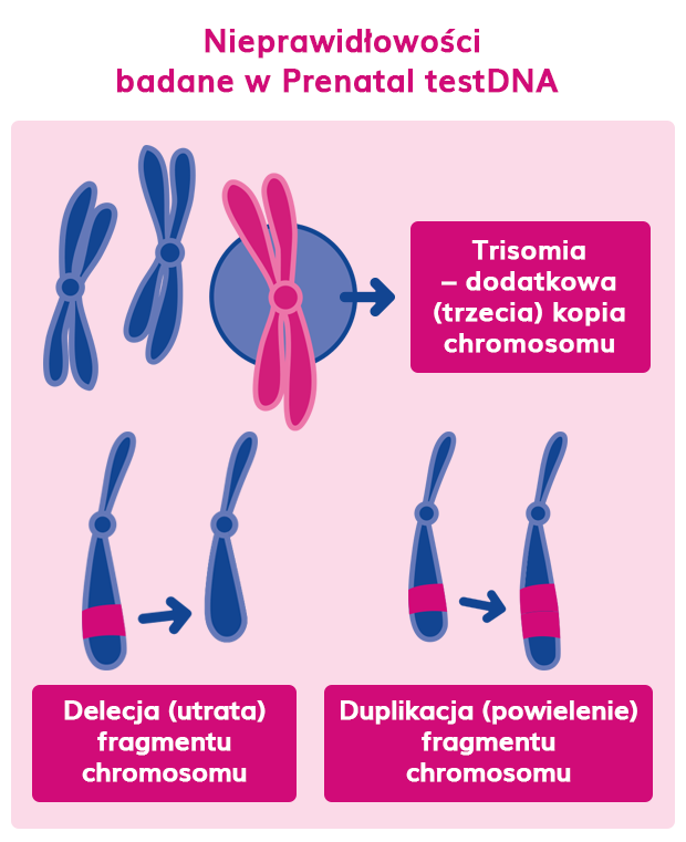 nieprawidłowości badane w prenatal testdna