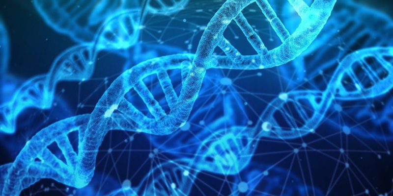 Czym są zespoły mikrodelecji i mikroduplikacji w badaniach wolnego płodowego DNA?
