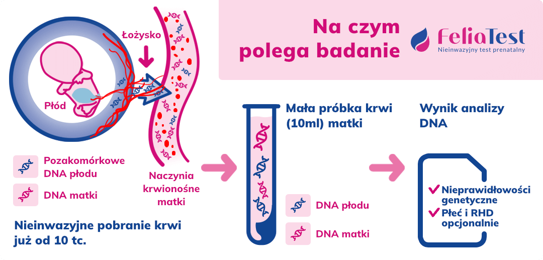 Na czym polega FeliaTest (dawniej Prenatal testDNA)