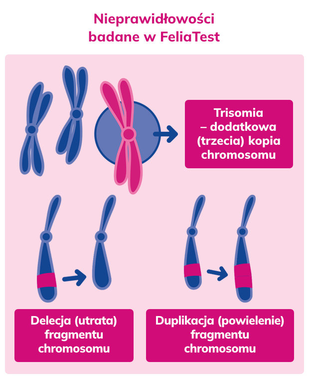 nieprawidłowości badane w prenatal testdna